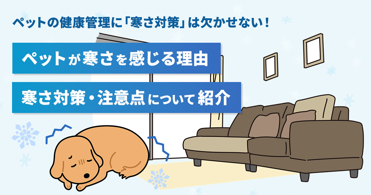 ペットの健康管理に「寒さ対策」は欠かせない！ペットが寒さを感じる理由、寒さ対策・注意点について紹介